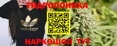 стафф Нарткала