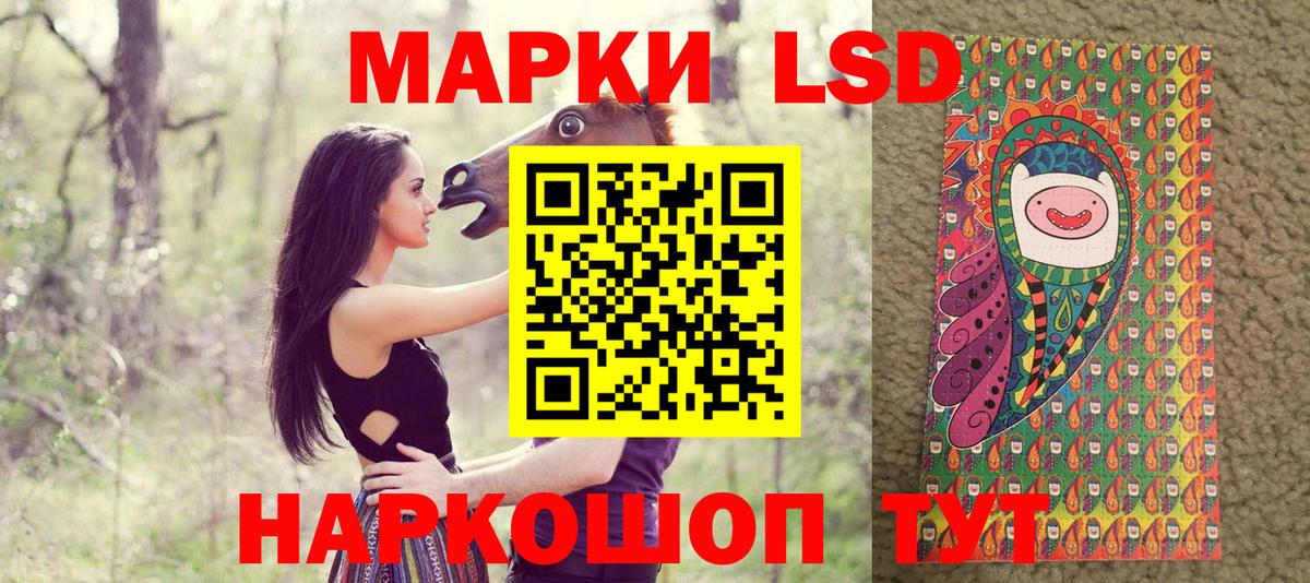 МЕФ Тулун