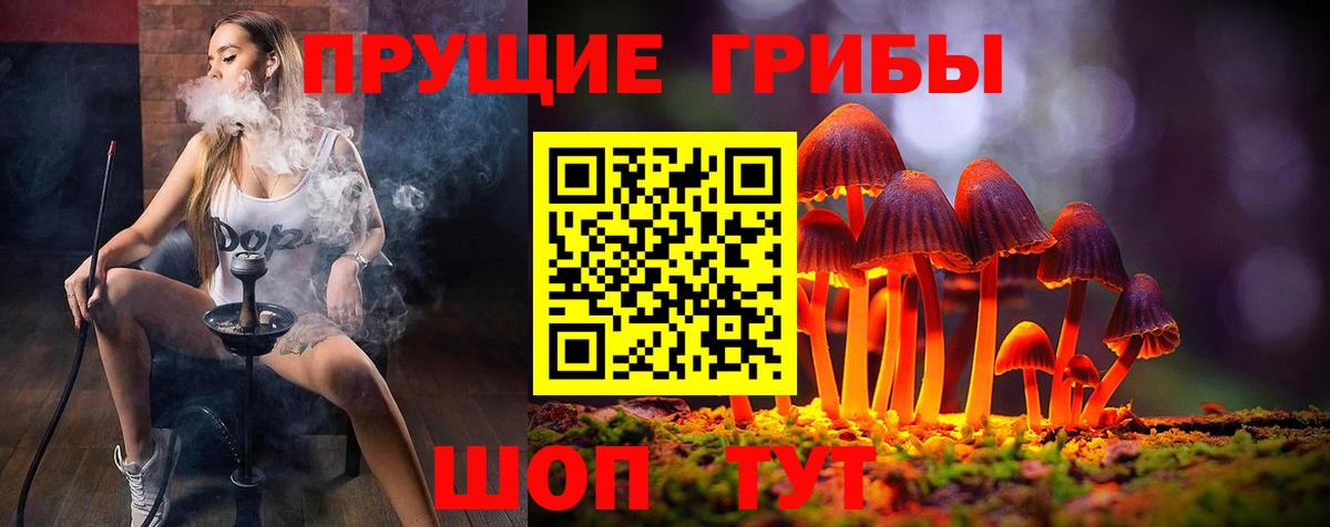 Псилоцибиновые грибы Magic Shrooms  Вход с VPN  Тулун 