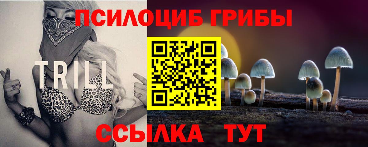 Галлюциногенные грибы прущие грибы Тулун